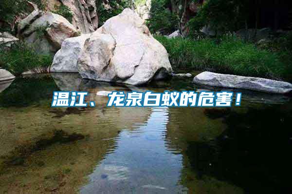 溫江、龍泉白蟻的危害！