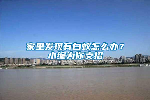 家里發現有白蟻怎么辦？小編為你支招