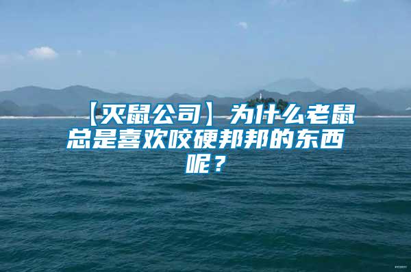 【滅鼠公司】為什么老鼠總是喜歡咬硬邦邦的東西呢？