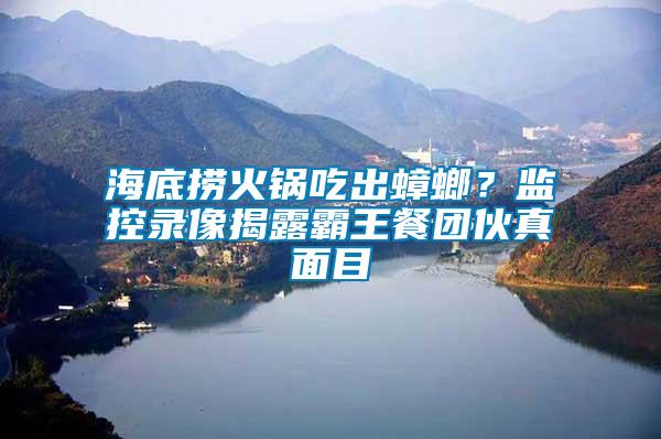 海底撈火鍋吃出蟑螂？監控錄像揭露霸王餐團伙真面目