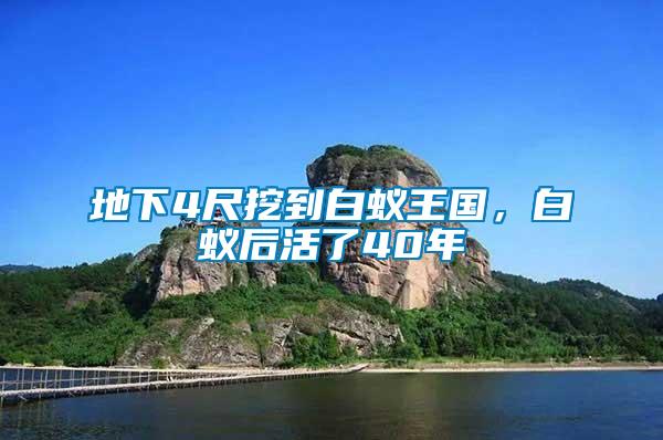 地下4尺挖到白蟻王國，白蟻后活了40年