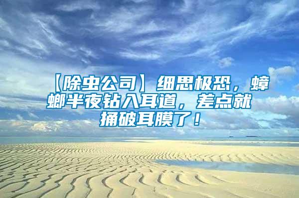 【除蟲公司】細(xì)思極恐，蟑螂半夜鉆入耳道，差點(diǎn)就捅破耳膜了！