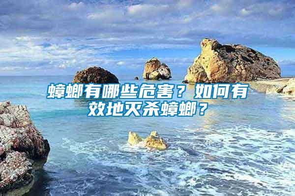 蟑螂有哪些危害？如何有效地滅殺蟑螂？