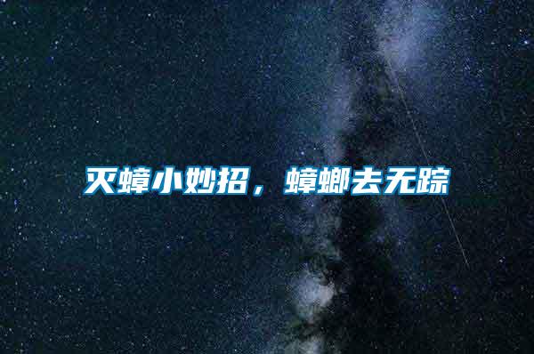 滅蟑小妙招，蟑螂去無蹤