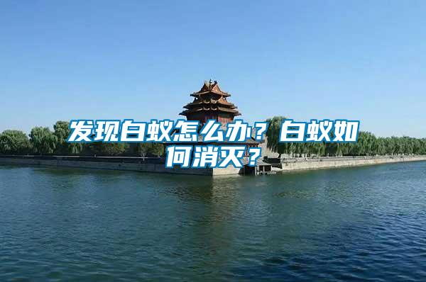 發現白蟻怎么辦？白蟻如何消滅？