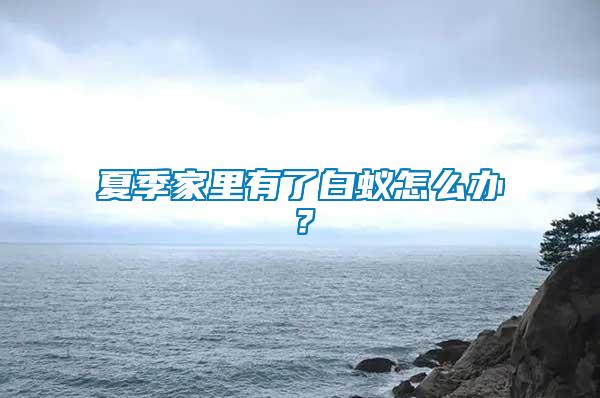 夏季家里有了白蟻怎么辦？