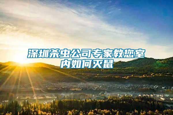 深圳殺蟲(chóng)公司專(zhuān)家教您室內(nèi)如何滅鼠