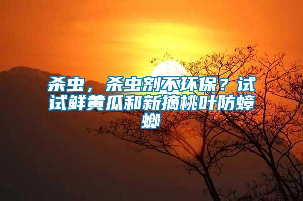 殺蟲，殺蟲劑不環(huán)保？試試鮮黃瓜和新摘桃葉防蟑螂