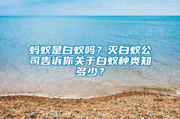 螞蟻是白蟻嗎？滅白蟻公司告訴你關(guān)于白蟻種類知多少？