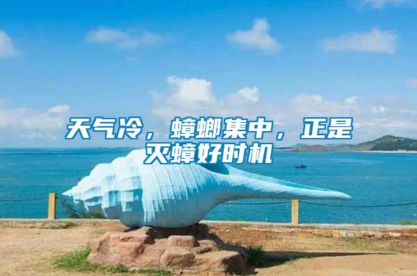 天氣冷，蟑螂集中，正是滅蟑好時(shí)機(jī)