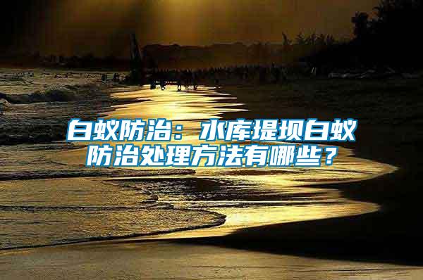 白蟻防治：水庫堤壩白蟻防治處理方法有哪些？
