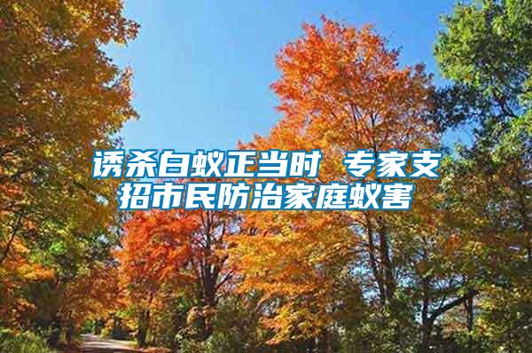 誘殺白蟻正當(dāng)時(shí) 專(zhuān)家支招市民防治家庭蟻害