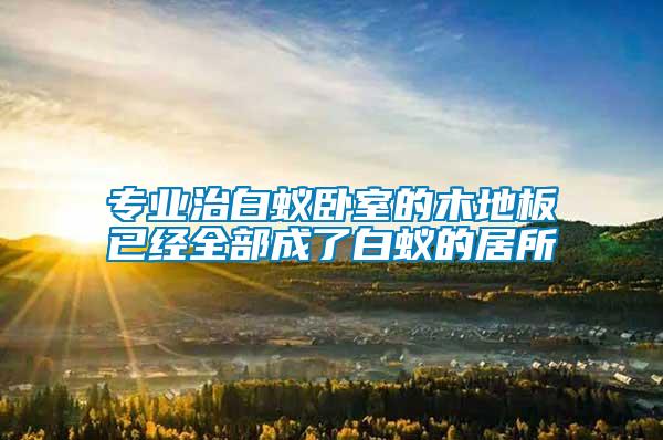 專業(yè)治白蟻臥室的木地板已經全部成了白蟻的居所