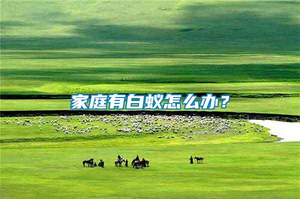 家庭有白蟻怎么辦？