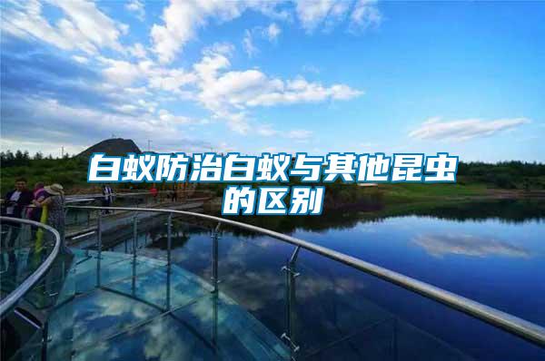 白蟻防治白蟻與其他昆蟲的區別