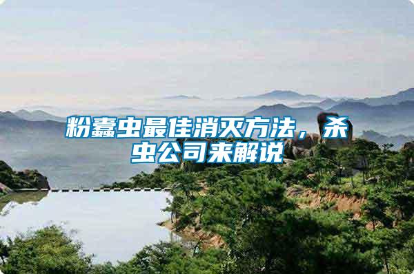 粉蠹蟲(chóng)最佳消滅方法，殺蟲(chóng)公司來(lái)解說(shuō)