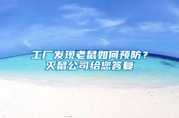 工廠發現老鼠如何預防？滅鼠公司給您答復