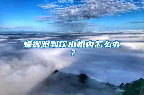 蟑螂跑到飲水機(jī)內(nèi)怎么辦？