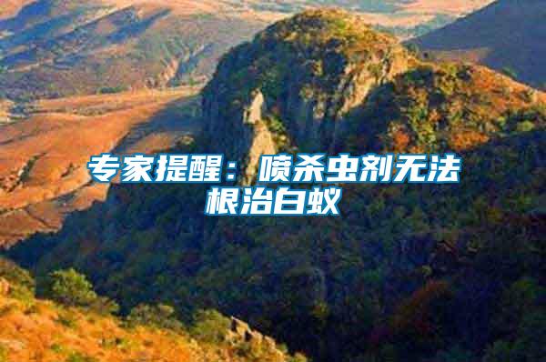 專家提醒：噴殺蟲劑無(wú)法根治白蟻