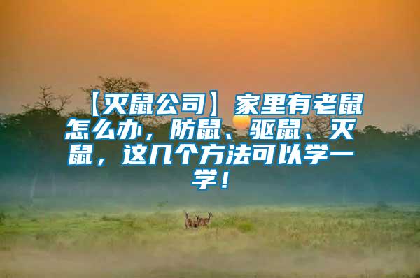 【滅鼠公司】家里有老鼠怎么辦，防鼠、驅(qū)鼠、滅鼠，這幾個方法可以學(xué)一學(xué)！