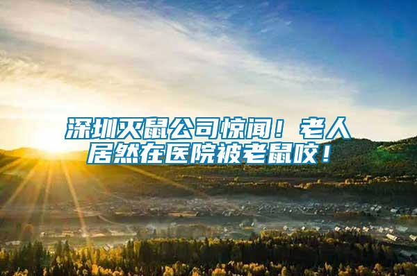 深圳滅鼠公司驚聞！老人居然在醫(yī)院被老鼠咬！