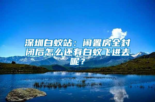 深圳白蟻站：閑置房全封閉后怎么還有白蟻飛進去呢？
