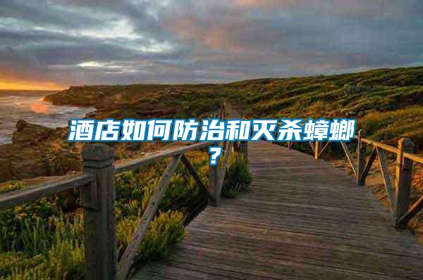 酒店如何防治和滅殺蟑螂？