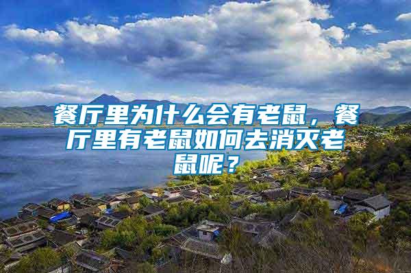 餐廳里為什么會有老鼠，餐廳里有老鼠如何去消滅老鼠呢？