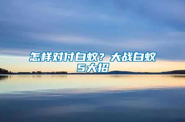 怎樣對付白蟻？大戰白蟻5大招