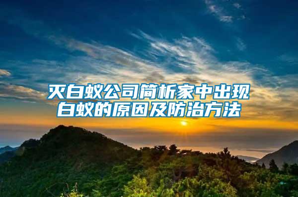 滅白蟻公司簡析家中出現白蟻的原因及防治方法