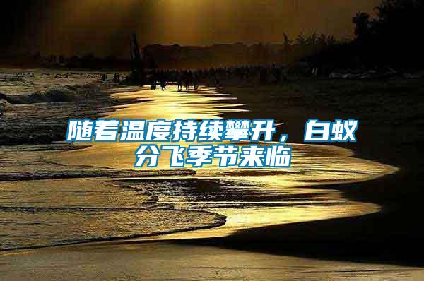 隨著溫度持續(xù)攀升，白蟻分飛季節(jié)來臨