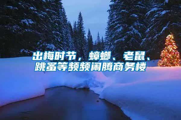 出梅時節，蟑螂、老鼠、跳蚤等頻頻鬧騰商務樓