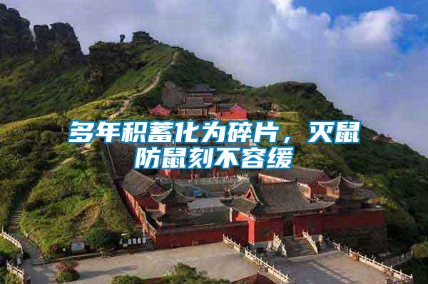 多年積蓄化為碎片，滅鼠防鼠刻不容緩