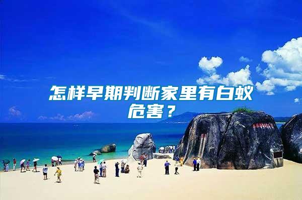 怎樣早期判斷家里有白蟻危害？