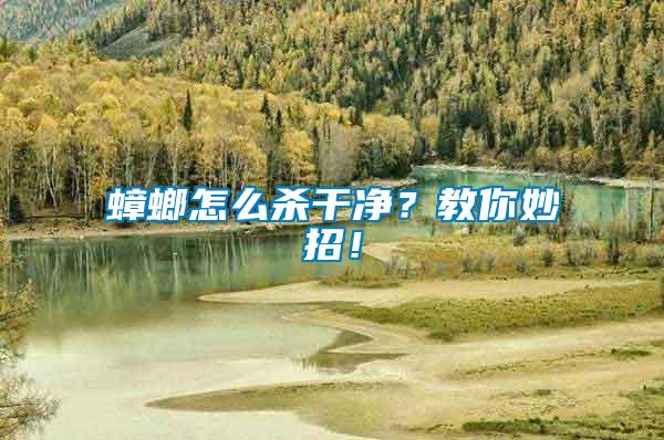 蟑螂怎么殺干凈？教你妙招！