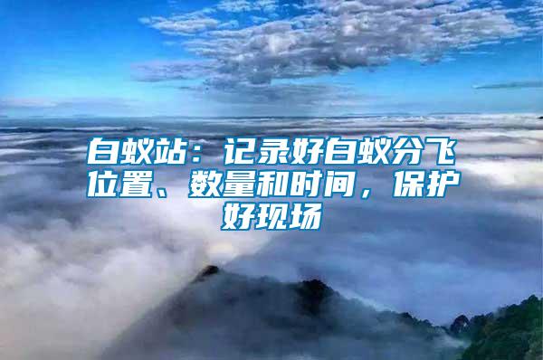 白蟻站：記錄好白蟻分飛位置、數(shù)量和時間，保護好現(xiàn)場