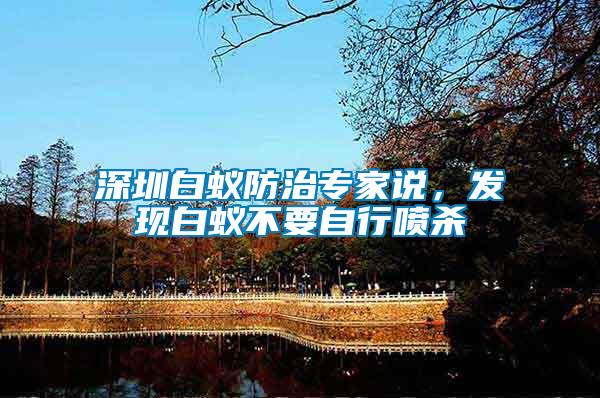 深圳白蟻防治專(zhuān)家說(shuō)，發(fā)現(xiàn)白蟻不要自行噴殺