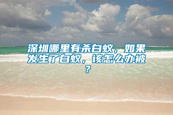 深圳哪里有殺白蟻，如果發生了白蟻，該怎么辦被？