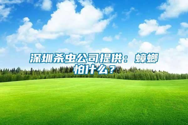 深圳殺蟲公司提供：蟑螂怕什么？