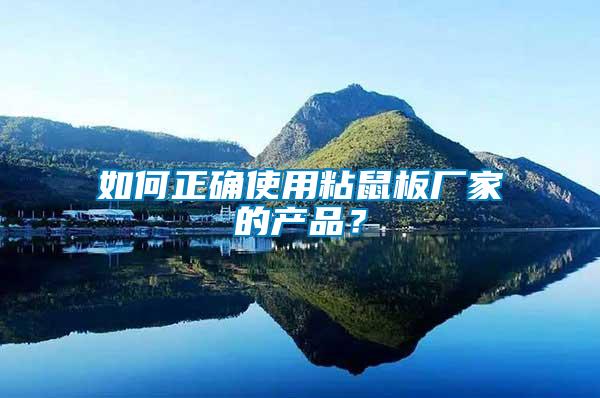 如何正確使用粘鼠板廠家的產品？
