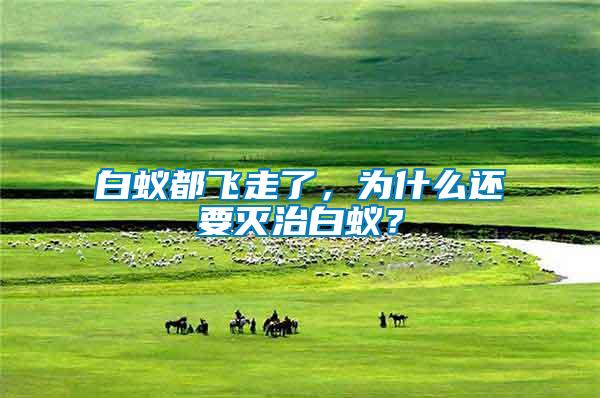 白蟻都飛走了，為什么還要滅治白蟻？