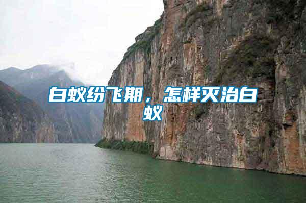 白蟻紛飛期，怎樣滅治白蟻