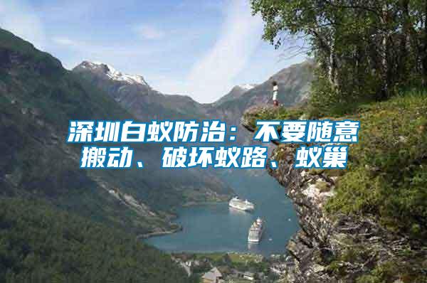 深圳白蟻防治：不要隨意搬動、破壞蟻路、蟻巢