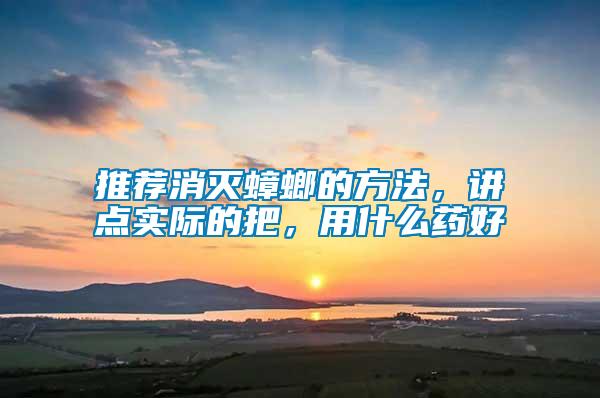 推薦消滅蟑螂的方法，講點(diǎn)實(shí)際的把，用什么藥好