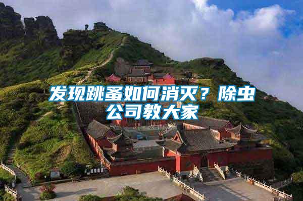 發現跳蚤如何消滅？除蟲公司教大家