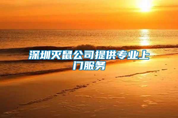 深圳滅鼠公司提供專業上門服務