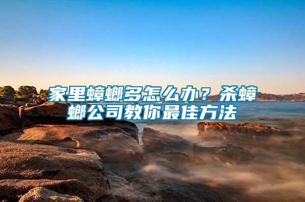 家里蟑螂多怎么辦？殺蟑螂公司教你最佳方法