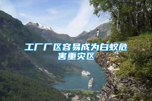 工廠廠區(qū)容易成為白蟻危害重災區(qū)