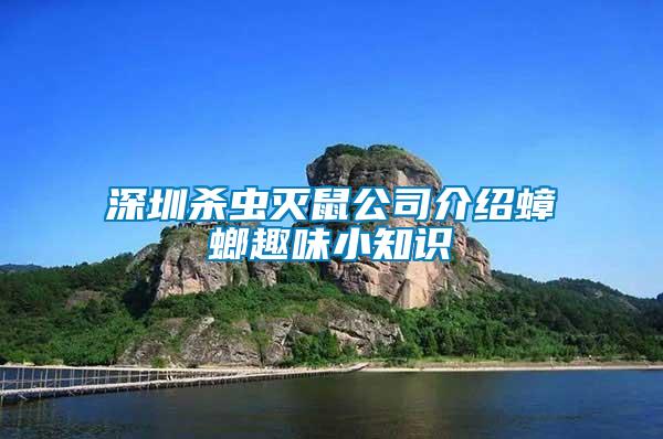 深圳殺蟲(chóng)滅鼠公司介紹蟑螂趣味小知識(shí)