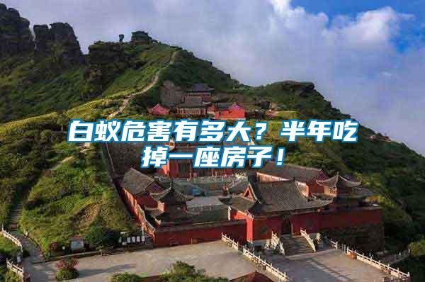 白蟻危害有多大？半年吃掉一座房子！